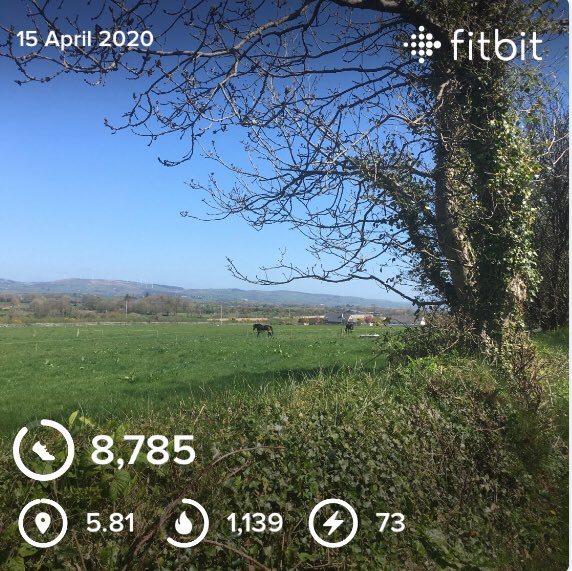 Still within #2kmradius another #blueSkyday #100daysofwalking #KeepGoing #StayingAtHome