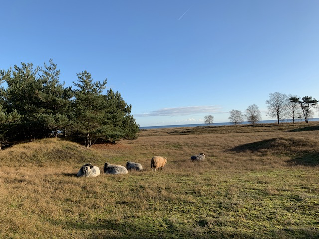 Metabolcenter's tweet photo. As we get into week 4 of the shutdown, platform manager Mie Mechta shares how she's adapted her work and family life: tag-team parenting, virtual lab meetings and bike rides in the countryside to burn off some energy.
#cbmr #lablockdown
https://t.co/ZkrUAj1v34 https://t.co/nzmHdy27hB