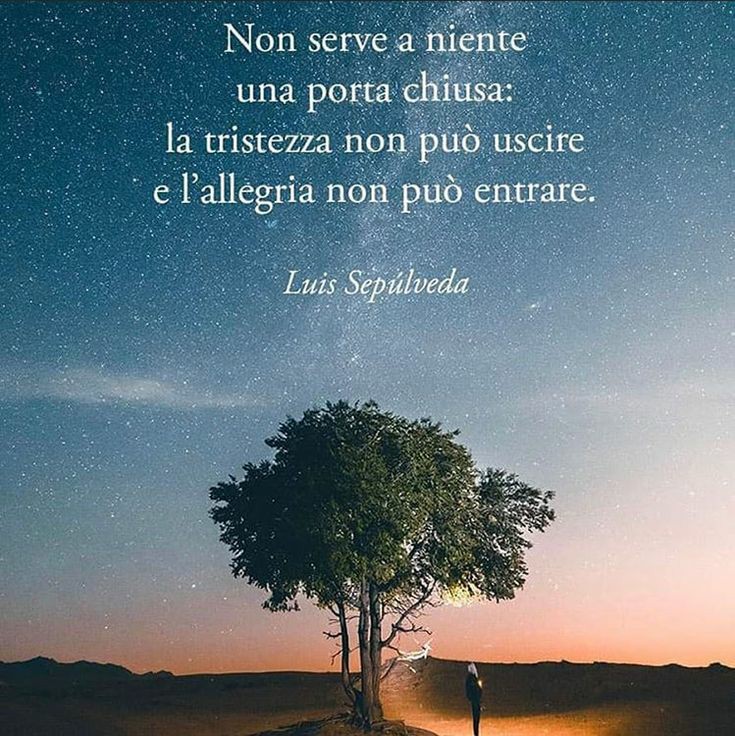 DColarullo's tweet image. 