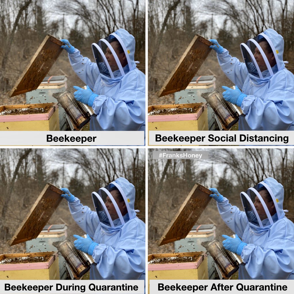 #beekeeperslife #beekeeping #beekeeper #honeybees #honey