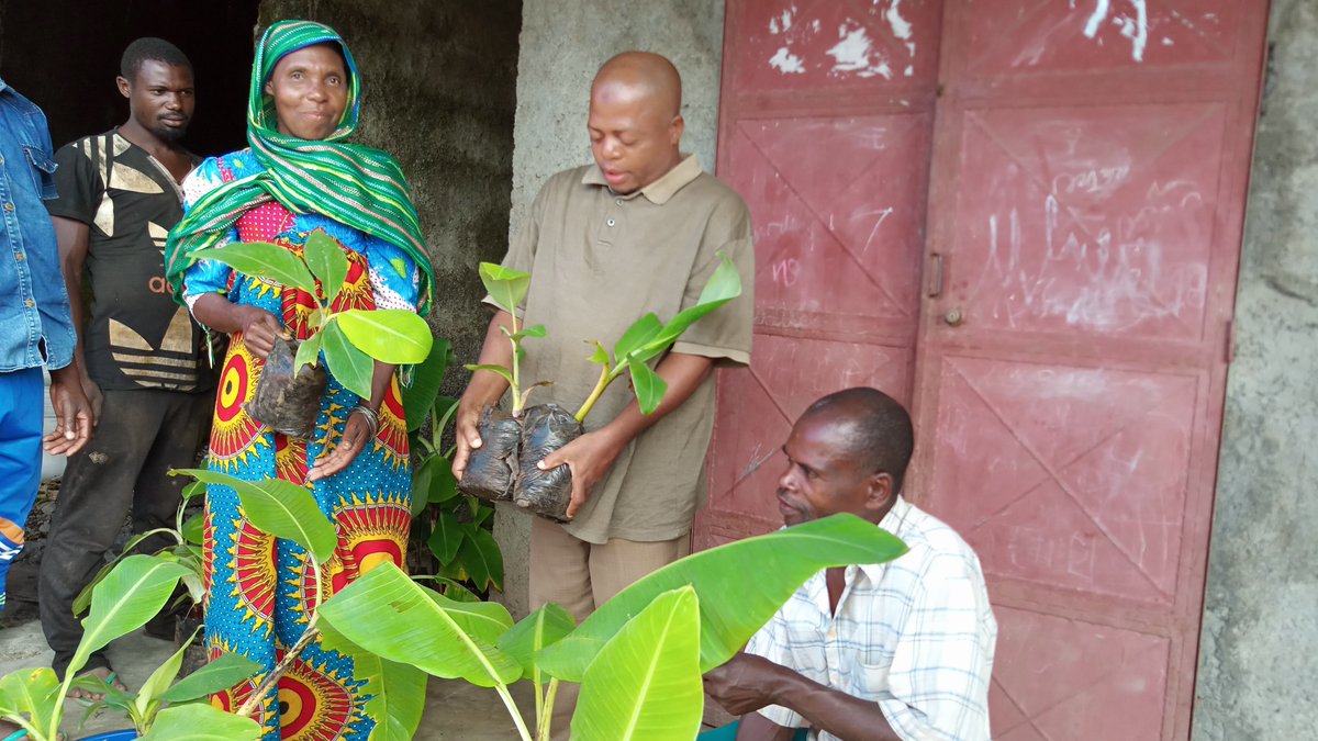 DahariComores's tweet photo. 🍌 [#NouvelleTechnologie]
Dans le cadre de sa collaboration avec @IFAD via le projet PREFER, #Dahari a testé avec succès des germoirs de macro-propagation de bananiers dans ses centres d'expérimentation.
#agriculture #recherche #innovation https://t.co/lpCArBNhT9
