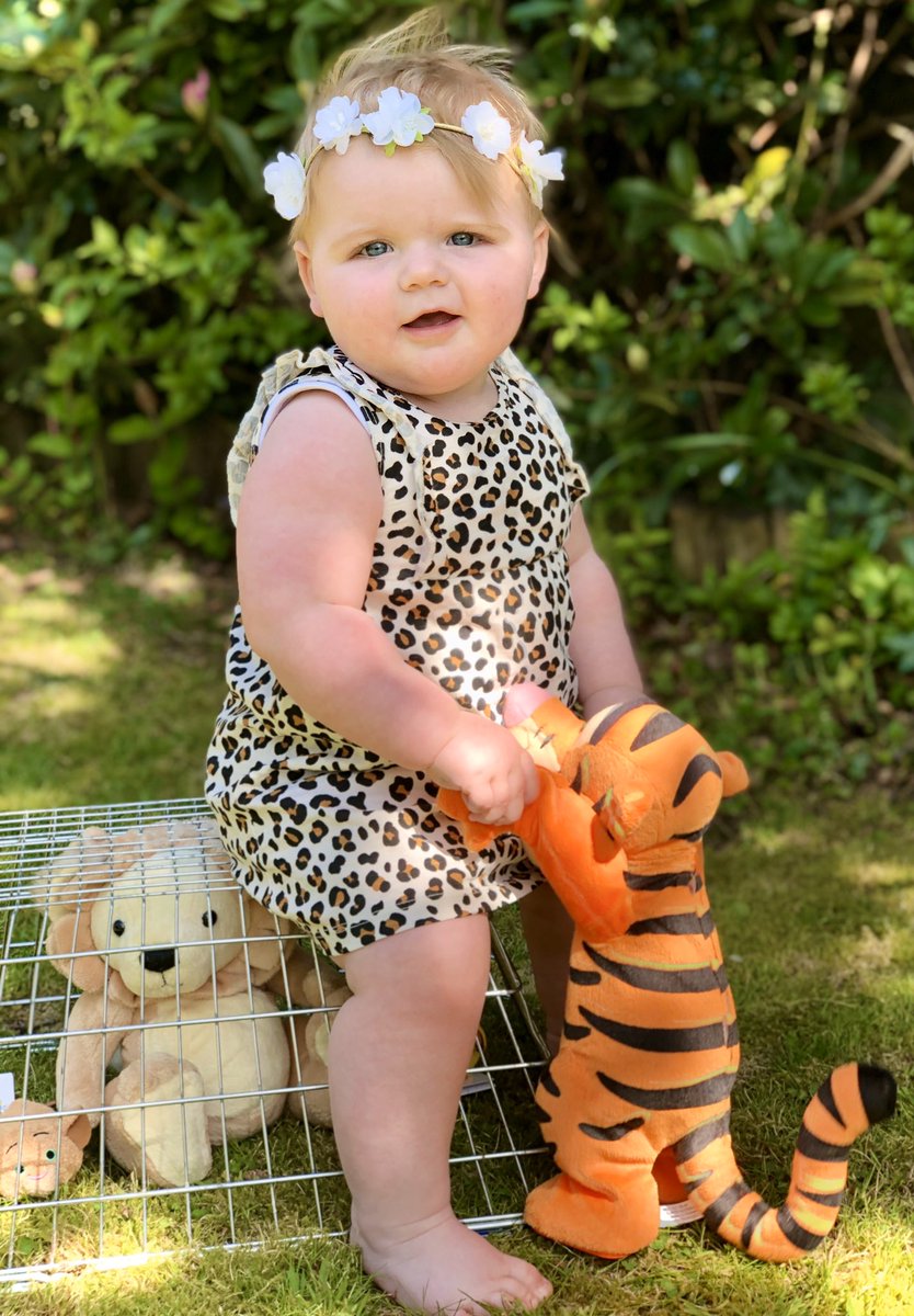 ha3e_'s tweet photo. Hey all you cool cats and kittens, it’s Carole at Big Cat Rescue!    

#bigcatrescue #JoeExotic #tigerking #tigerkingmemes #CaroleBaskin #CaroleKilledHerHusband #TigerKingNetflix https://t.co/nvyA72htOI