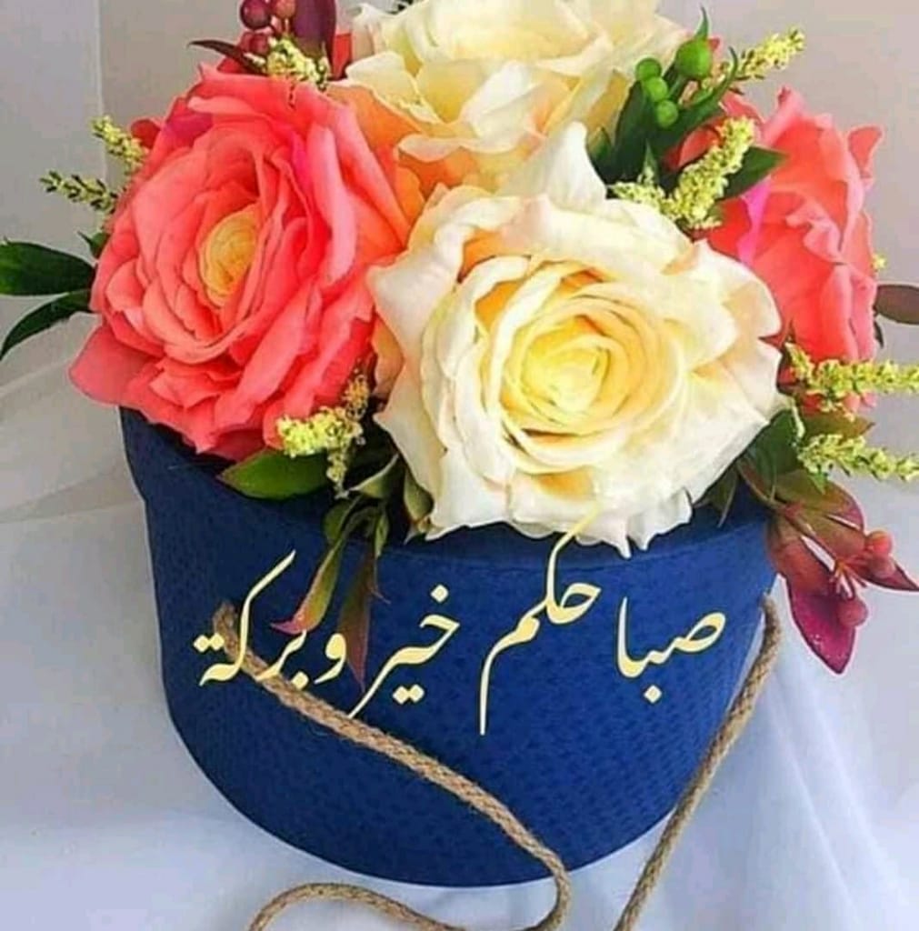 aa44010's tweet photo. @hamedomaribrah3 @abomoha34541058 @AhmedZubaidy @SomaHamdy19 @ro7al36aa @XfaisalhamadX @joree_kurdsh @ctMOcDkdOK5umjM @kaddour_22 @um_waleed88 @manal2015only @yupv3N4b3UYJWDt @hanadehanade6 @Rehan_kurdsh @hardman198067 أسعد الله أوقاتكم بكل خير https://t.co/H456vgy6oT