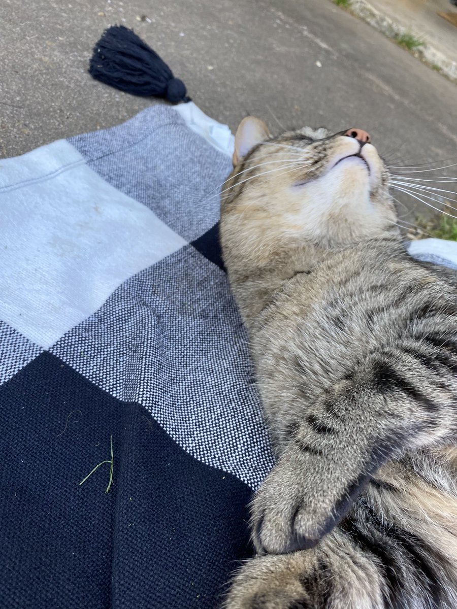 kait0419's tweet photo. Finley and I really need the 80 degree weather back. https://t.co/4YV8psRRFM