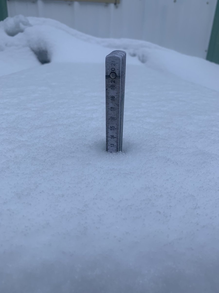 Washed_Up's tweet image. 12cm fresh #snow overnight in #Kananaskis valley #abstorm #ShareYourWeather