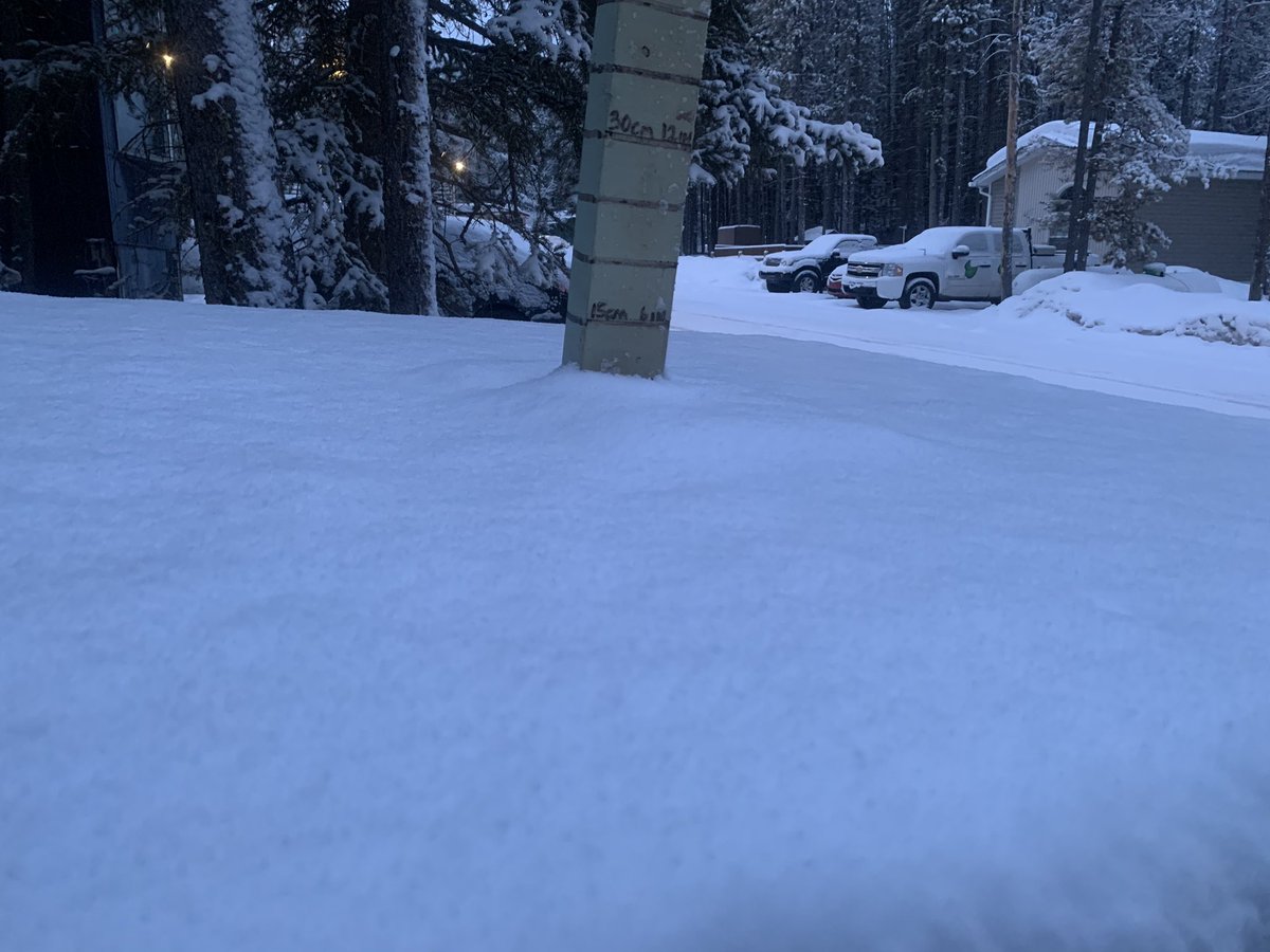 Washed_Up's tweet image. 12cm fresh #snow overnight in #Kananaskis valley #abstorm #ShareYourWeather