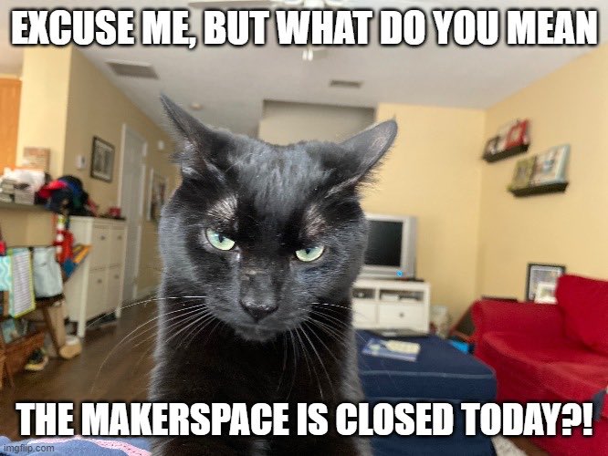 LES_MediaCenter's tweet photo. It’s MEME DAY!!! Nothing gets the point across like a good meme! Here are two I made using https://t.co/5Z0TGXd6kD’s meme generator and pictures of my cats Thunder and Titus! #modelkitties #SchoolLibraryMonth @CcsdMedia https://t.co/16SvuvfpdR