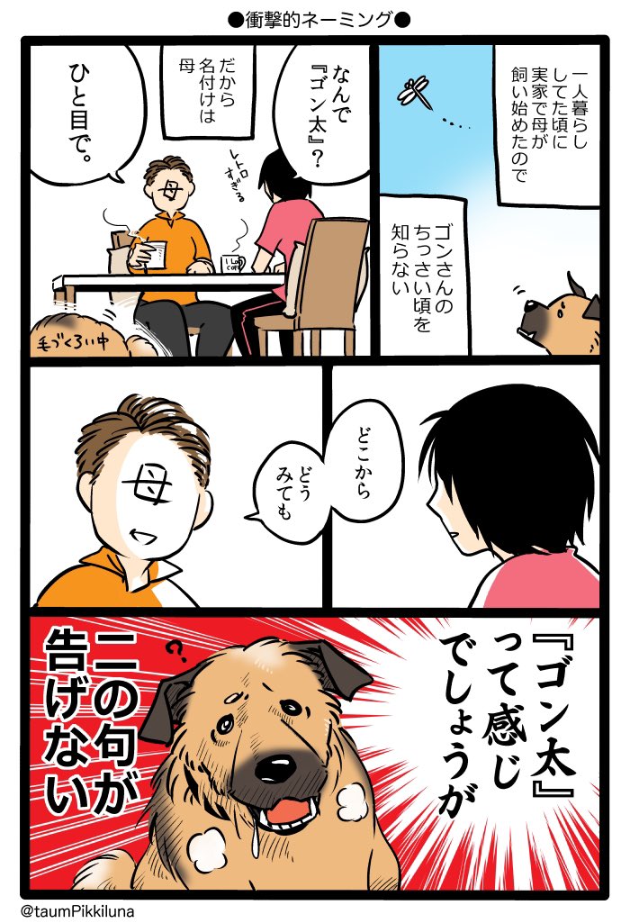 タユム בטוויטר 再掲 うちの雑種犬がダサかわいい