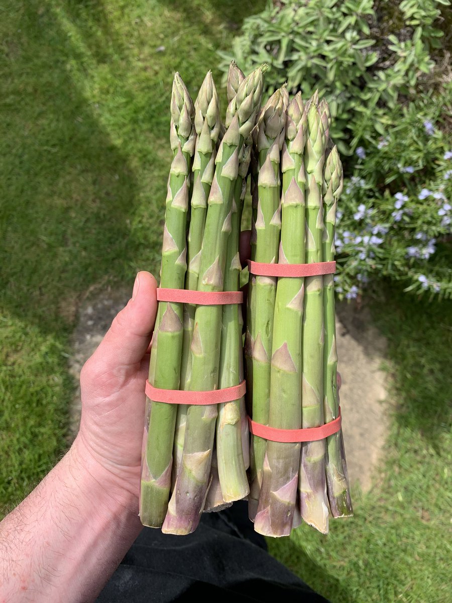 markjamesmunro's tweet photo. British Asparagus #kitchen29 ๐ฌ๐ง https://t.co/xk47L4h96M