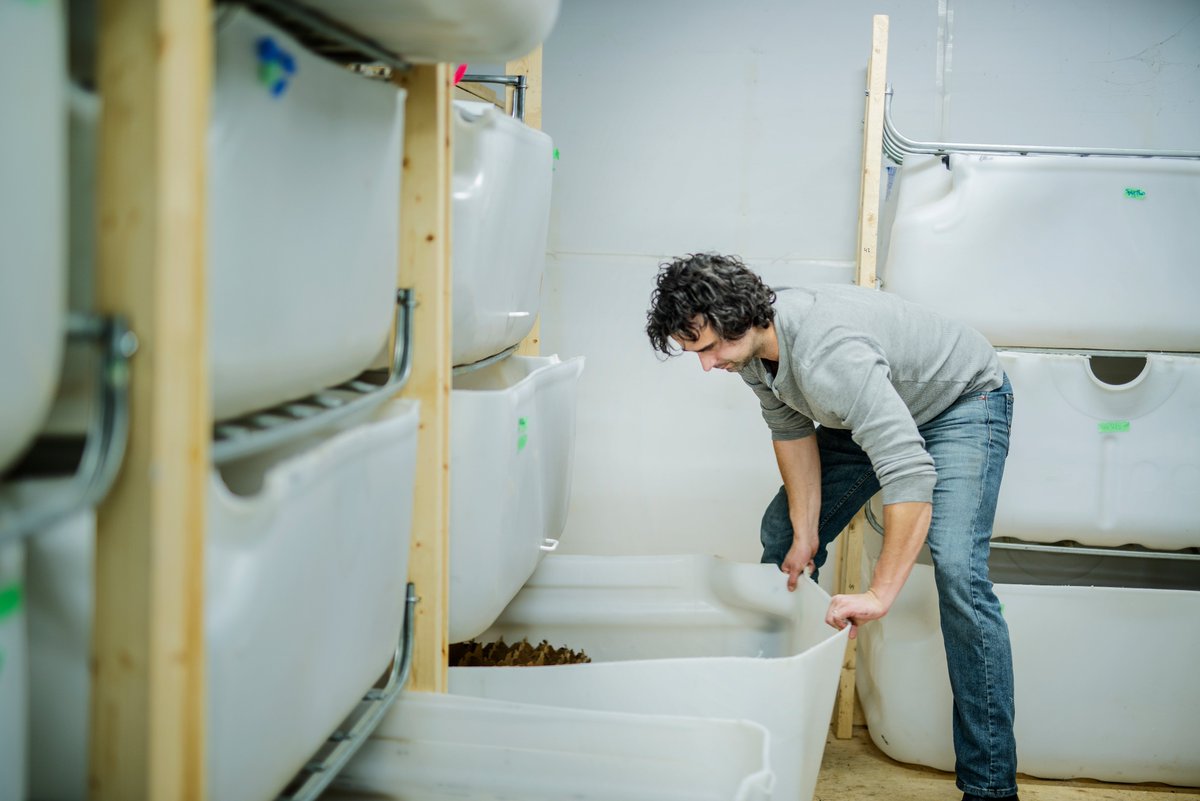 amperecanada's tweet photo. Can growing insects help us feed a changing planet? Root &amp; STEM🌱 has cool STEAM stories from around the world, to help educators &amp; students learn about new ways to think about tech. https://t.co/Jue0XlaL5f
#RootAndSTEM #STEAM #Cricket #EdibleInsects #Sustainable https://t.co/Al5e5zPflA