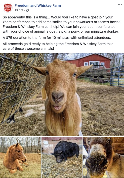 erikras's tweet image. Need to spice up that weekly standup and get support for your push to use 🐐 #ReactTestingLibrary?
For a small fee, this farm will have a goat join your @zoom_us call.
facebook.com/57296698983042…
