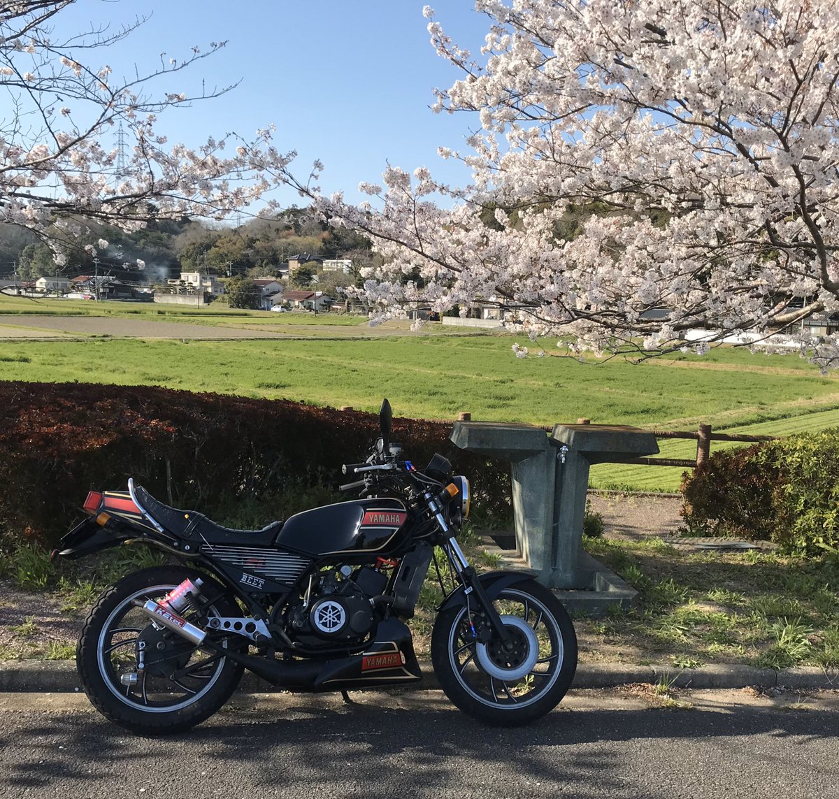 えいすけ בטוויטר 自己紹介します 名前 えいすけ 性別 男 年齢 26 住み 山口県 身長 175 愛車 Cbr Cb その他 小汚いバイク 好き ソロツーリング 嫌い ダルい人 しつこい人 一言 バイク初心者なんで色々教えて下さい 山口県 バイク乗りとして軽く自己紹介 バイク