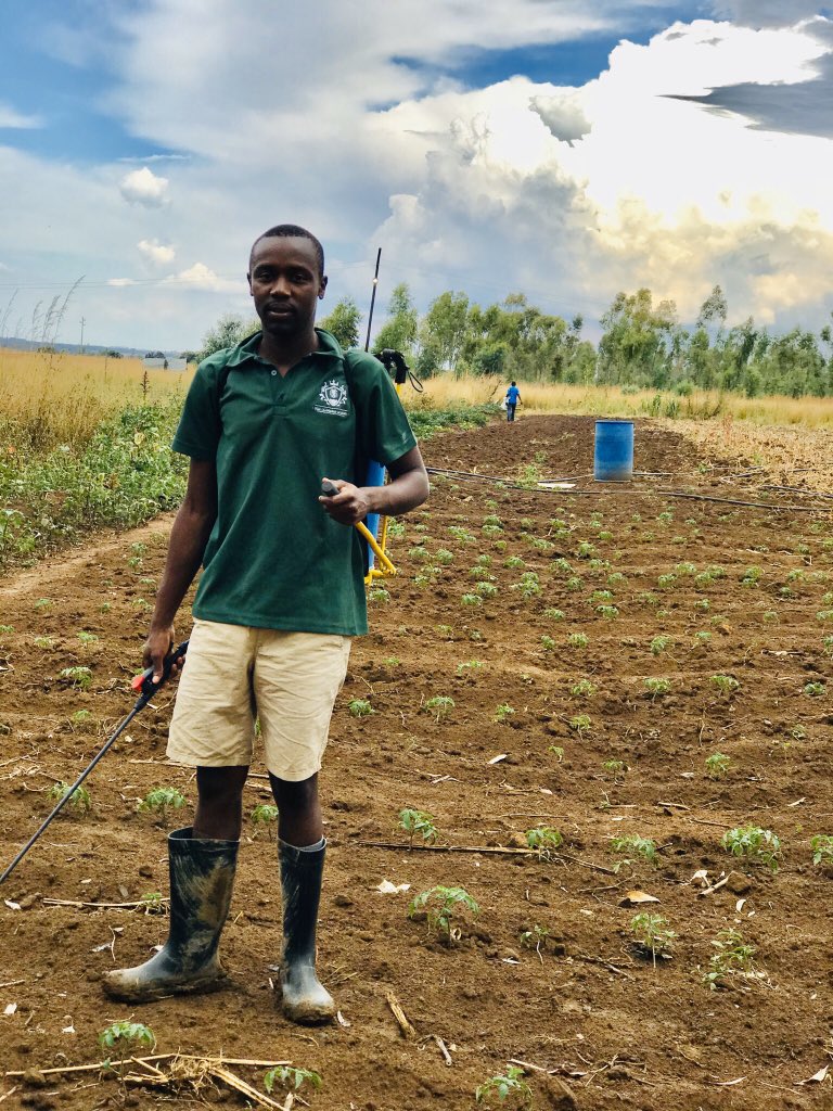 cmashx's tweet photo. I believe as much as we may have workers as farm/project owners we should be able to do the basic work at the farm as a need may arise one day. Have been herding cattle the past 2 days and today was taking care of the young ones after some good rainfall #YouthInAgriculture https://t.co/EBu4Qfcju8