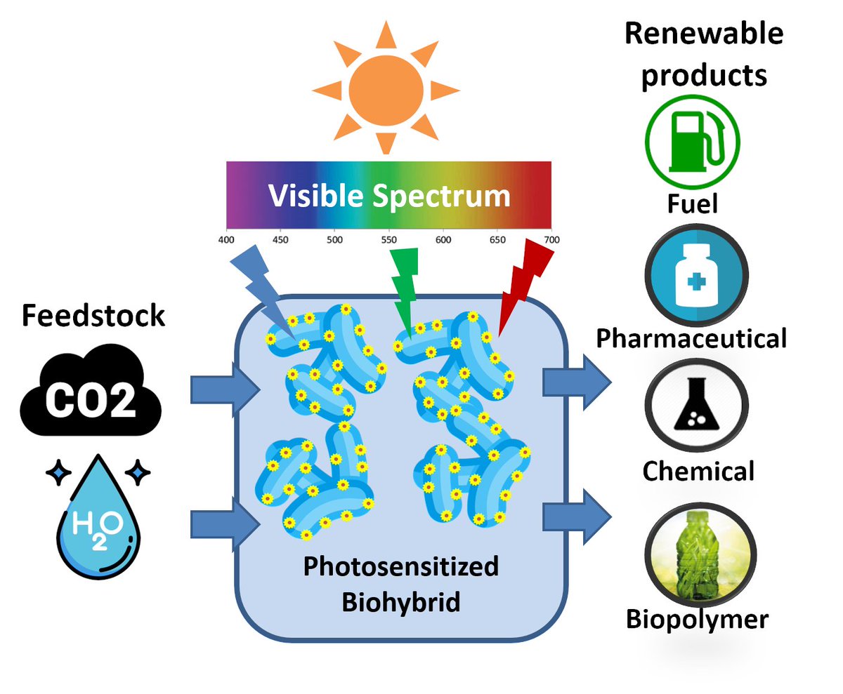 pantonline's tweet photo. Here's our #Lockdownpaper 2
Material–Microbe Interfaces for Solar-Driven CO2 Bioelectrosynthesis published in @TrendsinBiotech @CellPressNews 
Collaboration between @VITObelgium &amp; our Industrial partner @IndianOilcl @Upretimk1 @RamakumarDr @PrakashCSahoo1 
https://t.co/6aCb4k3cW9 https://t.co/BCb9cW86kU