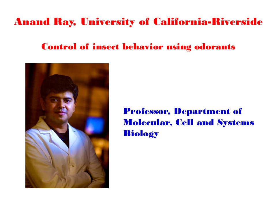 wsleal2014's tweet photo. Control of Insect behavior using odorants by Anand Ray @UCRiverside For a full list of speakers, please go here: https://t.co/5d7NL0xEfx
#PBESA2020 @esa_pac @EntsocAmerica @UCRentomology https://t.co/FixaA1MNU7