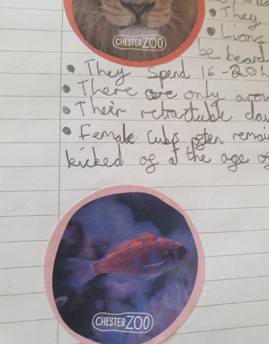 Candice Ryan tweet media