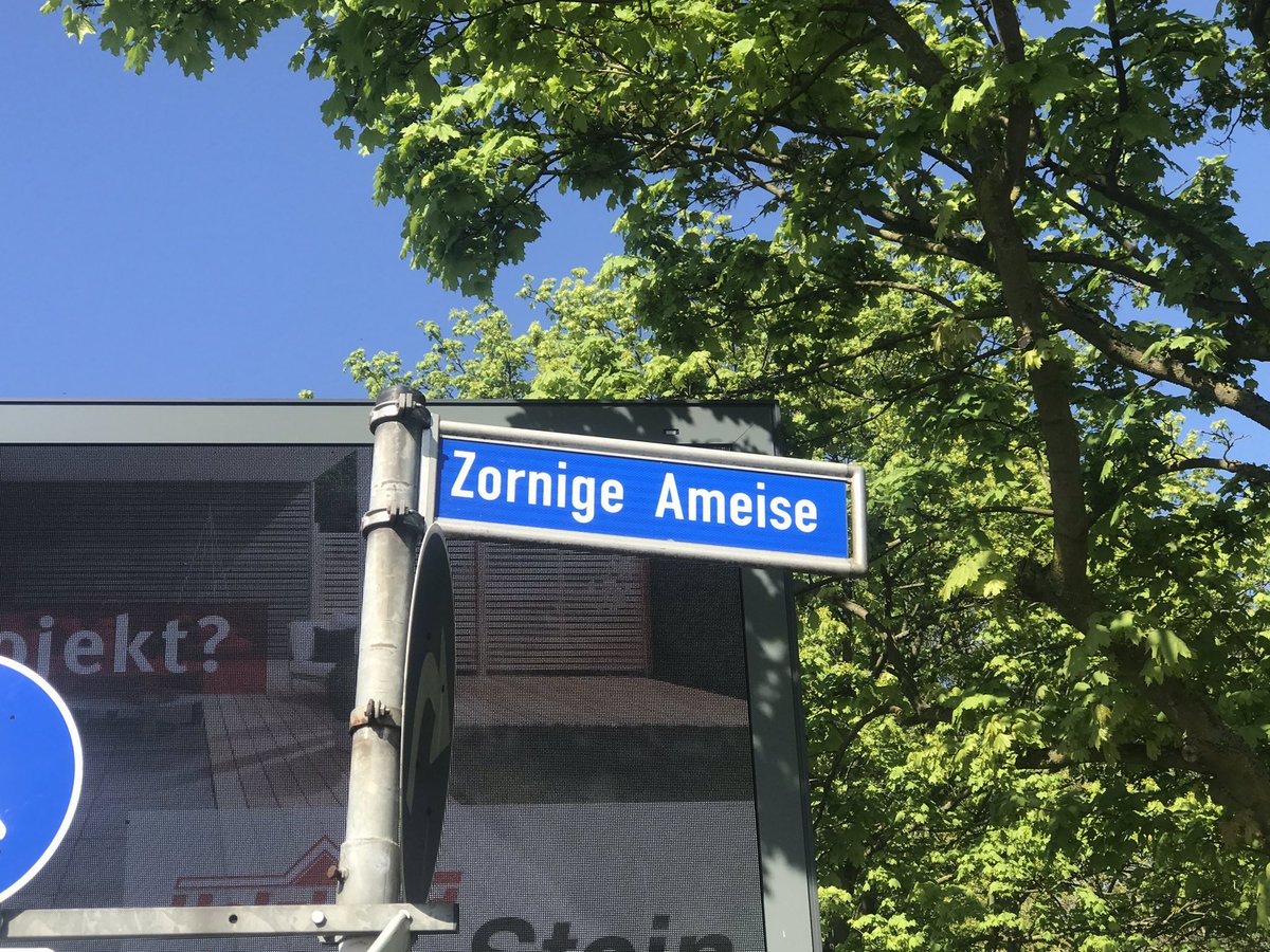 Onkel Dagobert tweet media