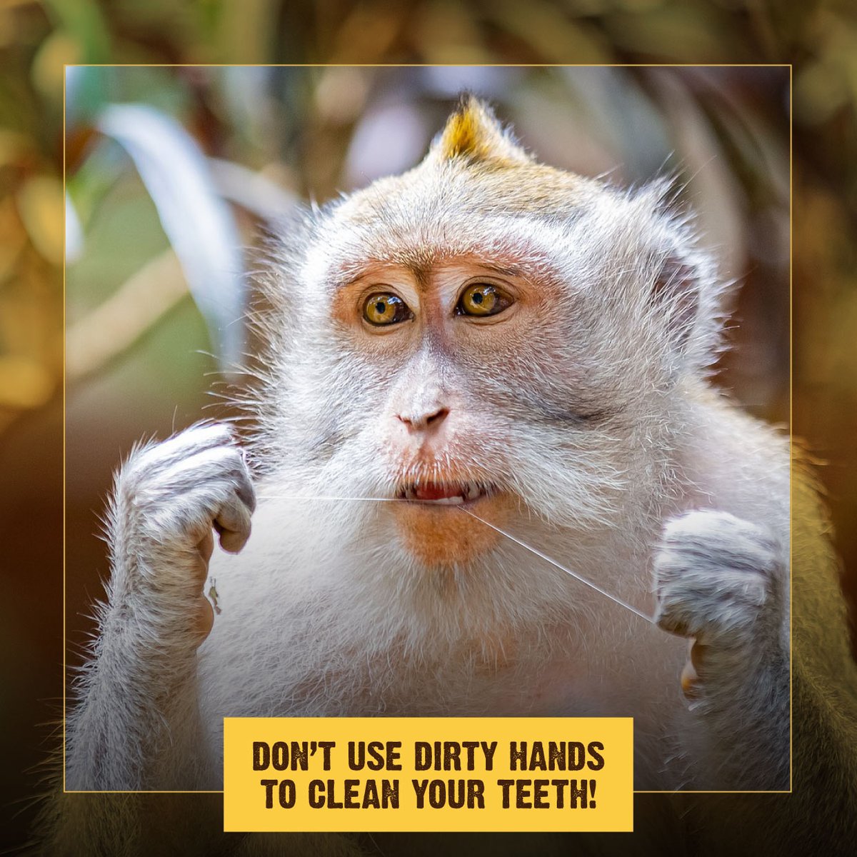 WE WANT TO REMIND everyone to wash their hands before cleaning their teeth! Activities like flossing or handling a toothbrush are best practiced with clean hands to stop the spread of illness.