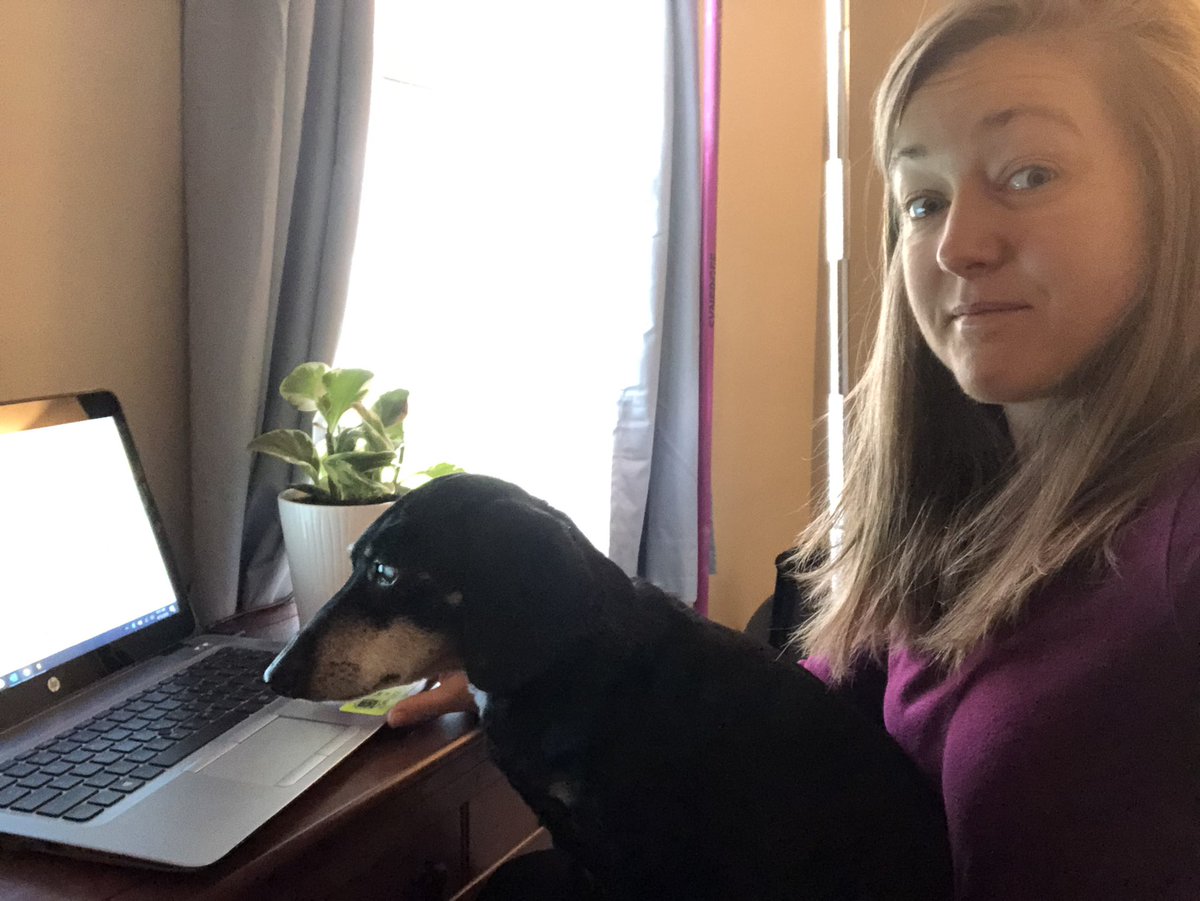 cchapteach's tweet photo. You know what’s nice about eLearning?  Having a personal assistant! #PetsofAACPS https://t.co/of9atgdZ2V