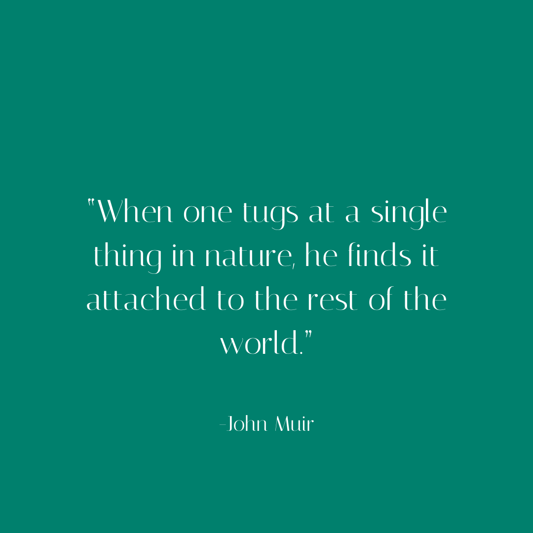 SmrtRemedies's tweet photo. “When one tugs at a single thing in nature, he finds it attached to the rest of the world.”-John Muir #EarthDay #CelebrateEarth #FindYourBliss #SmartHealthyRemedies https://t.co/y6Pie0mb3F