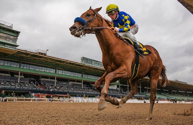fastmaracucho's tweet photo. Marcas 🇺🇸 #WillRoger
Miércoles 15/04/20
☆ElⓂaraco📲
1)9-7
2)5F-2
3)1-3
4)6F-8
5)6F-8
6)5-8
7)1-5
8)3F-6
9)4-6
10)2F-3
Lo mejor la confirmación y es por mi GRUPO VIP 👇🏼👇🏼👇🏼
Abre este enlace para unirte a mi grupo de WhatsApp: https://t.co/OubtHiike8
SOLO SUSCRIPCIÓN https://t.co/34sCtRPxhm