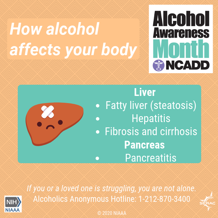 SERAC_CT's tweet photo. We know alcohol affects the liver, but did you know it hurts the pancreas too? #alcoholawarenessmonth #effectsofalcohol #alcoholrecovery #reachout @NIH @NIAAAnews @FacingAddiction https://t.co/CX0QCknuDr