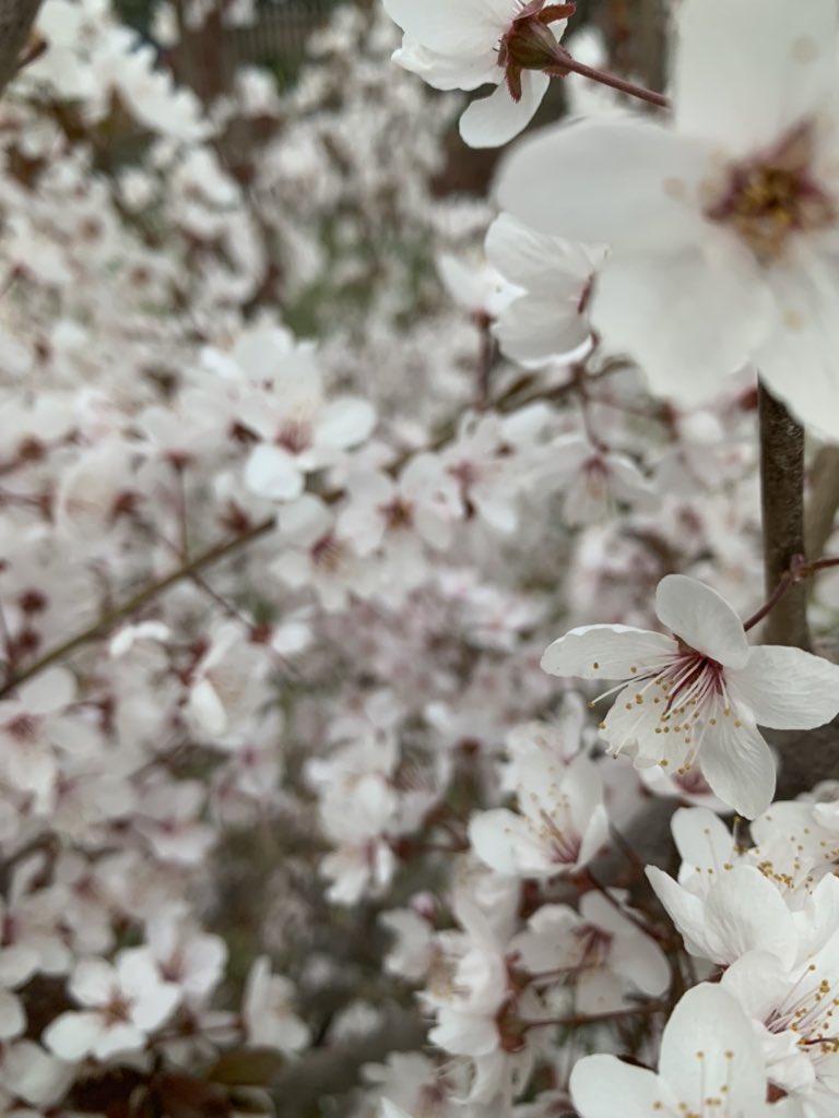 Spring‘s in the air🤩