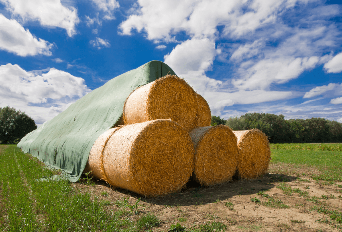 ProtexiaPlast's tweet photo. Breathable, Water-resistant Hay Tarps built for optimum harvest quality. To learn more, call 1-800-935-3011.
#HayTarp #Hay20 #AgTwitter https://t.co/qSww9FOwf2
