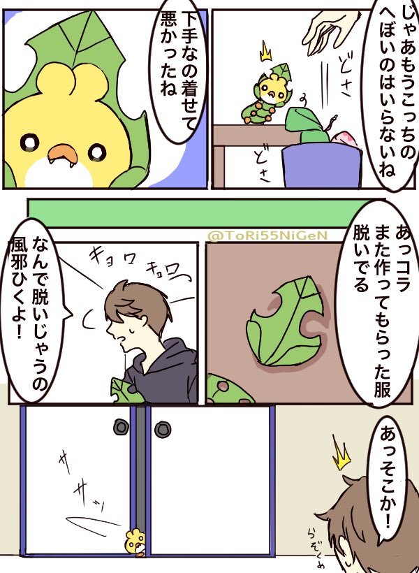 #ポケモンと生活
生まれたてのクルミルと不器用な人 