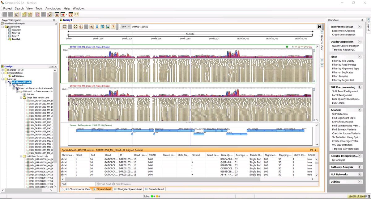 strandngs's tweet photo. Genome Browser: The #graphicart of deciphering our bases. Create your own #art with our tool! #HappyWorldArtDay !!!
#strandngs #ngs https://t.co/qS40A2QVUe