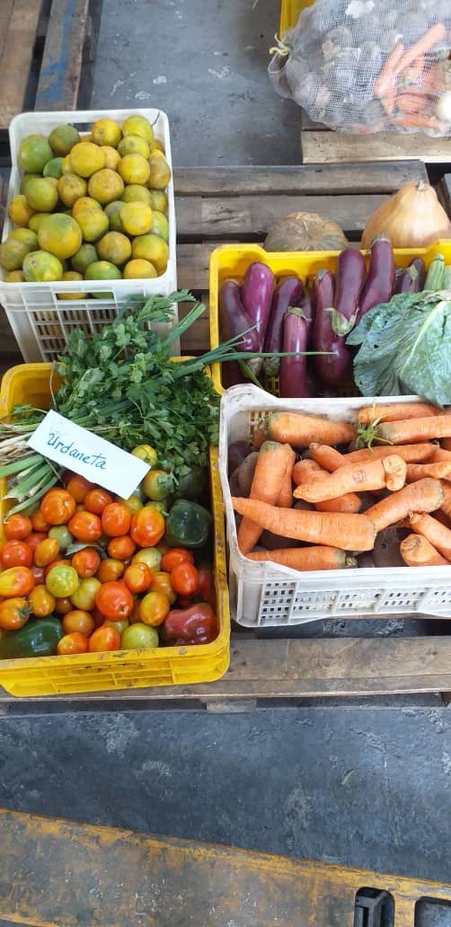 ElCam_Inmortal's tweet photo. 📰#GDCInforma| U.E. Distritales continúan recibiendo rubros alimenticios por @GobCapital a través de #FUNDECA con el fin de garantizar los alimentos a los niños y jóvenes de la patria que cumplen la cuarentena en familia desde sus hogares #VenezuelaBellaEnRevolución https://t.co/t1PGEfyel6