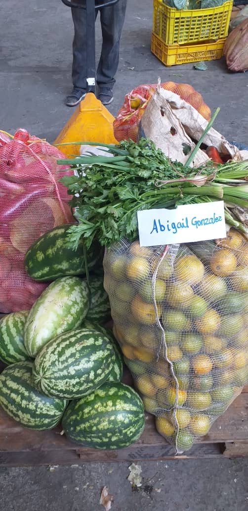 ElCam_Inmortal's tweet photo. 📰#GDCInforma| U.E. Distritales continúan recibiendo rubros alimenticios por @GobCapital a través de #FUNDECA con el fin de garantizar los alimentos a los niños y jóvenes de la patria que cumplen la cuarentena en familia desde sus hogares #VenezuelaBellaEnRevolución https://t.co/t1PGEfyel6