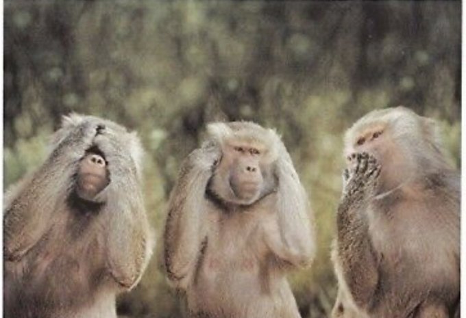 See no stimulus  Hear no Stimulus  Speak no stimulus  #2020 https://t.co/tDmEArVCVX