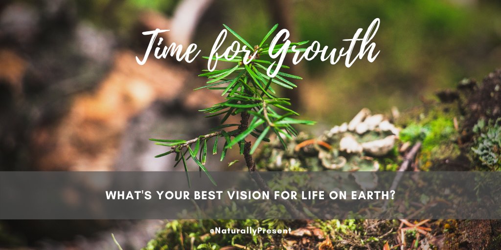 hmc1223's tweet photo. What we are globally doing right now is having quite an impact on our environment. It’s pretty much what many scientists have been proclaiming was needed in response to climate change. https://t.co/M5SyhTkeQA

#naturallypresent #silverlinings #lifevision #soulcalling https://t.co/SiMSm1hi8J