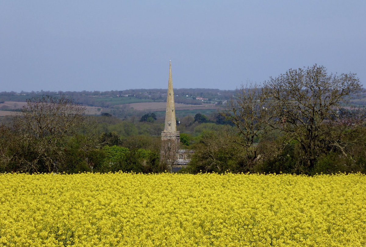 slksuzie's tweet photo. Lets Walk , escape the newsfor an hour and re charge 😊🐝#leicestershire #natureishealing #environment #countryloving @BBCCountryfile @leicslive @CarlBovisNature thank you for helping @Barbour https://t.co/0m54vbjGtK
