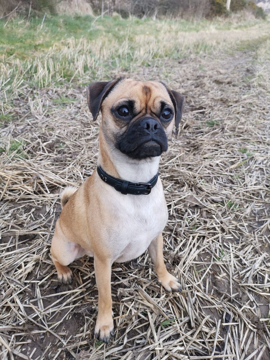 Kayleigh Ryan tweet media