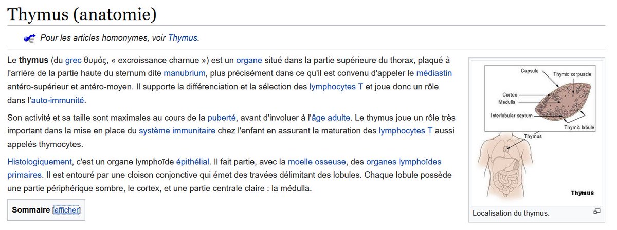 71/n Tout semble indiquer, en revanche, qu'un petit organe mal connu, le thymus, à l'interface de l'immunité innée (qui protège contre tout nouvel agent infectieux) et l'immunité acquise (qui nécessite la reconnaissance spécifique d'antigènes déjà connus), joue le premier rôle.