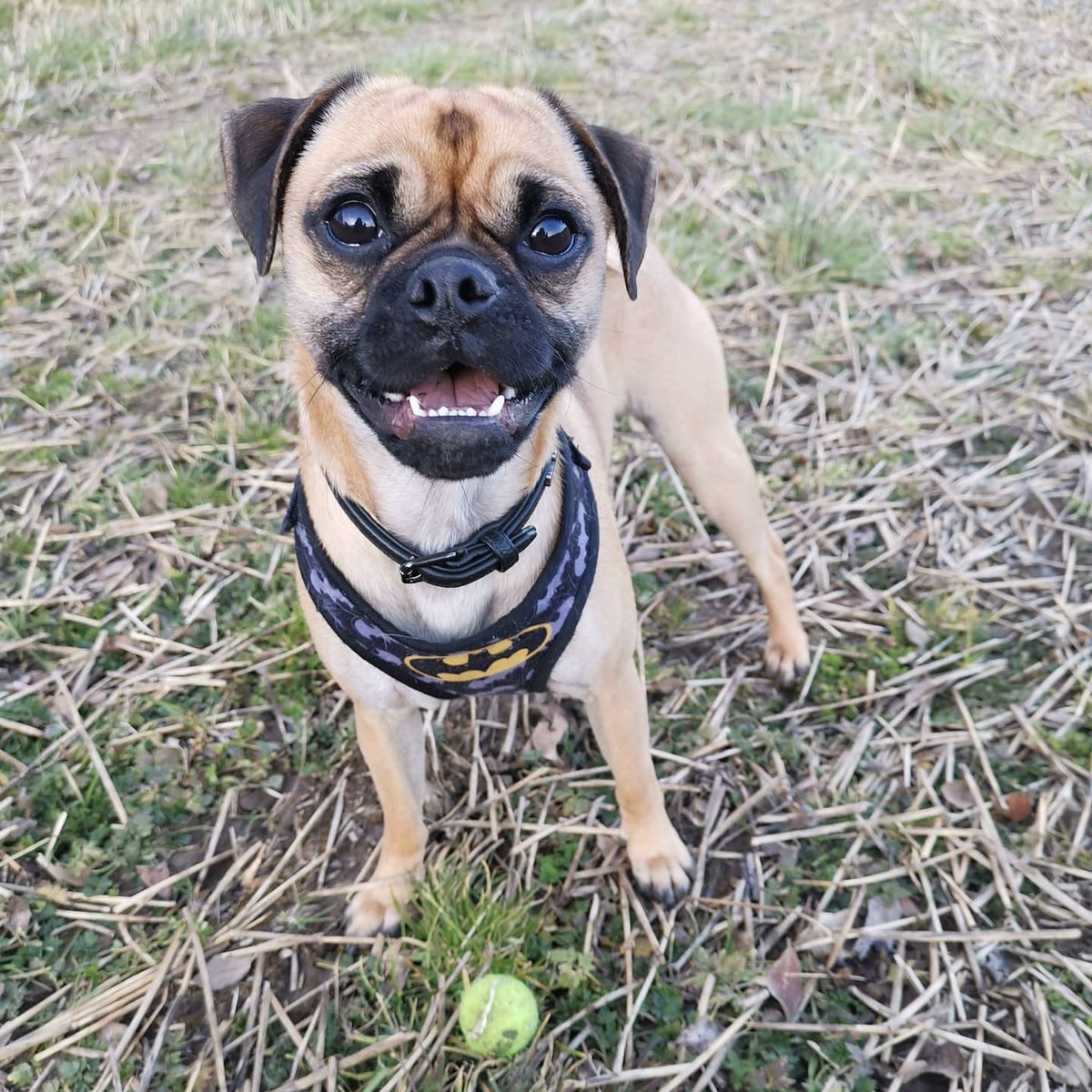 Kayleigh Ryan tweet media