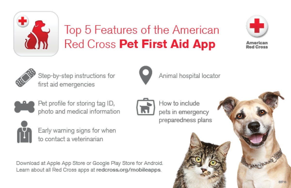 COWYRedCross's tweet photo. There isn’t a better time to download the Red Cross Pet First Aid app than during #PetFirstAidMonth!
Be prepared to help your furry friends with veterinary advice for everyday emergencies. You can find the app on the Apple App Store or Google Play. #BeRedCrossReady https://t.co/P3XhftfKF4