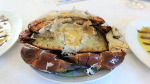 SALAMANCARTE's tweet photo. El buey de mar. Un crustáceo a descubrir. https://t.co/RmUvjq9B7Z https://t.co/RN4e464nbC