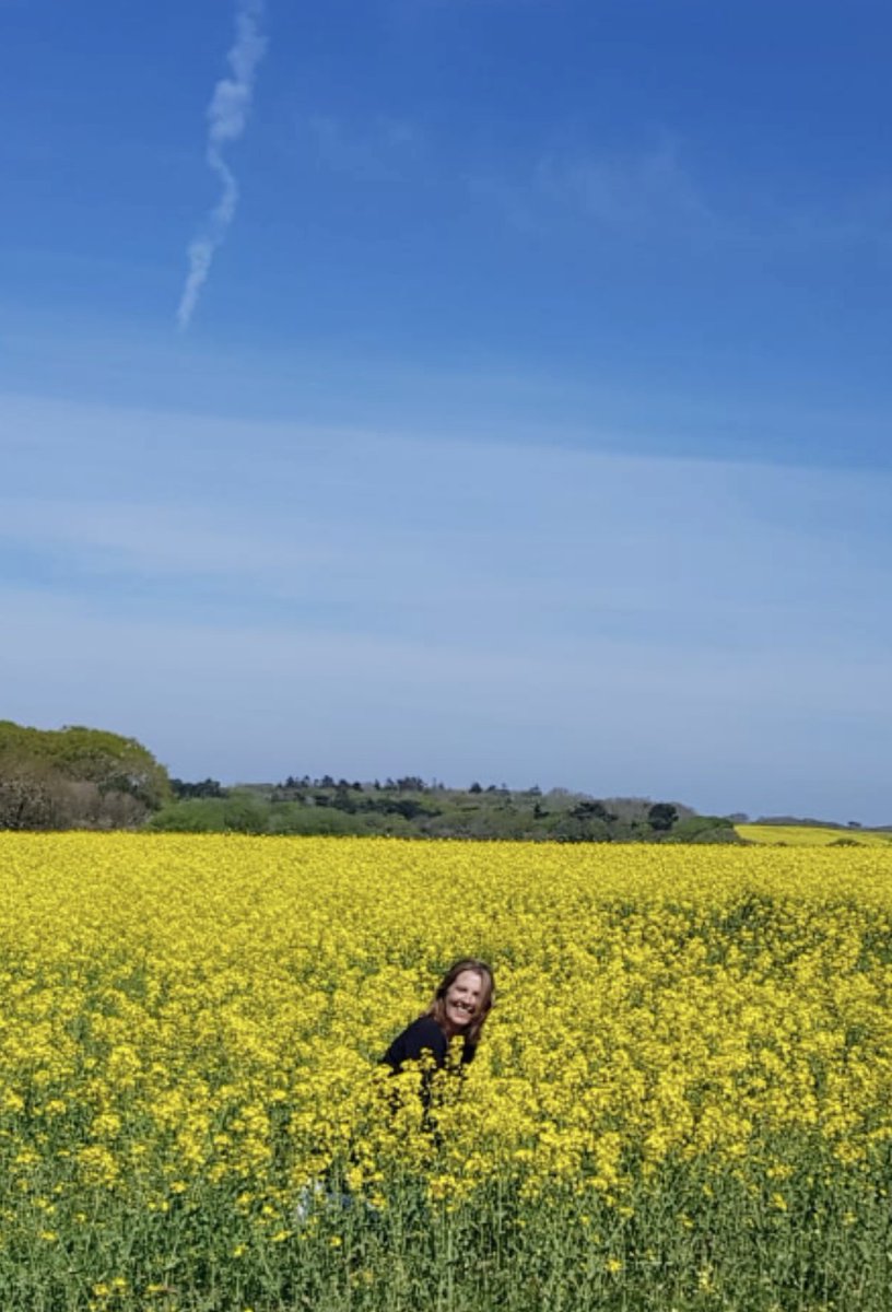 sand0307's tweet photo. Was a real tonic to see this on our walk today #IsleofWight #keepingpositive #appreciationtweet #makingthemost #islandlife https://t.co/GIyKgCdmmZ