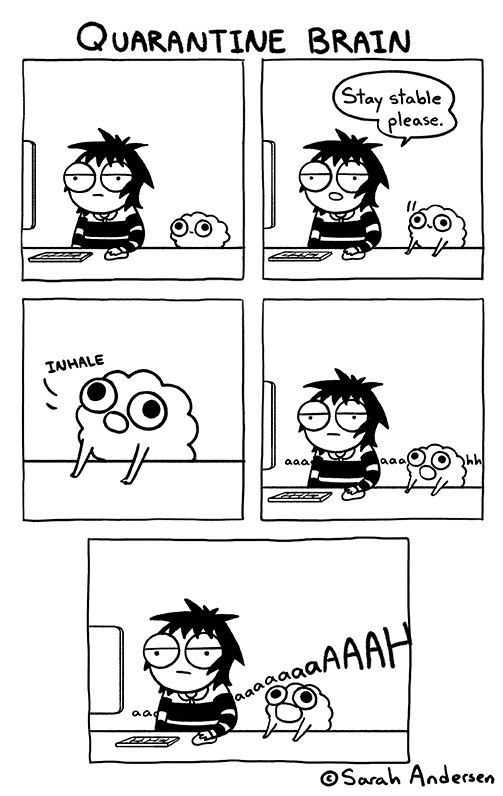Sarah Andersen tweet media