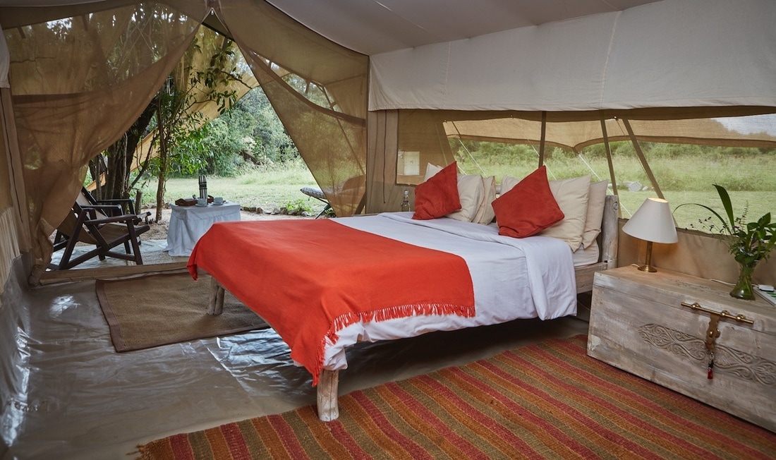 TheSAFARICoLtd's tweet photo. 🦓 Looking for the 'real McCoy' of safari camps?
@Spekesccamp, Maasai Mara, Kenya; is a long time fav:
🌍Incredible Location
🦁Abundant Game
🌳Bush Dining
🏕Cosy Campsite
Rates from USD350 pppn.
✅Plan now with safaris@thesafaricoltd.com!
#WildlifeWednesday #AuthenticSafari https://t.co/NURfaq9nZo