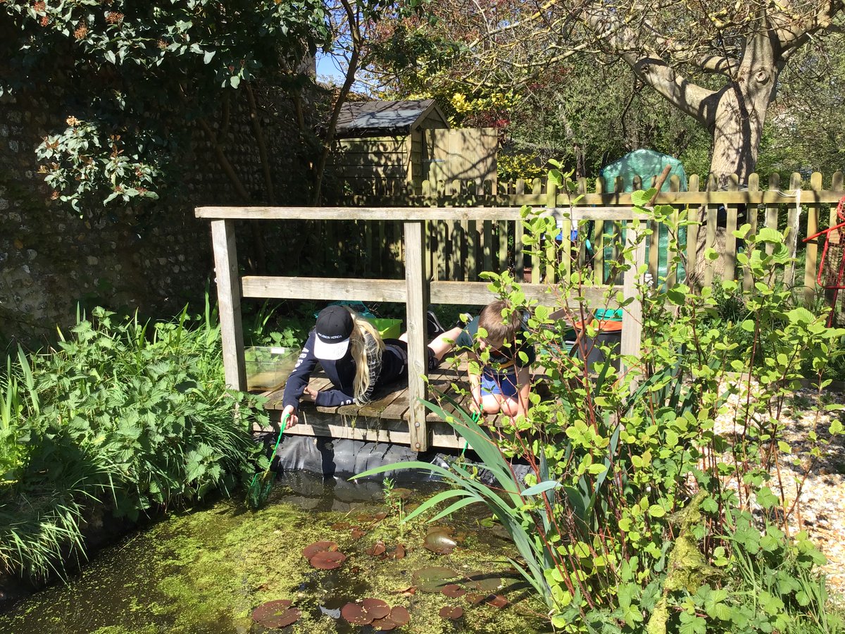 LancastrianInf1's tweet photo. Today our 'in school' team had fun finding newts in the pond! https://t.co/UXZyJLKC0l