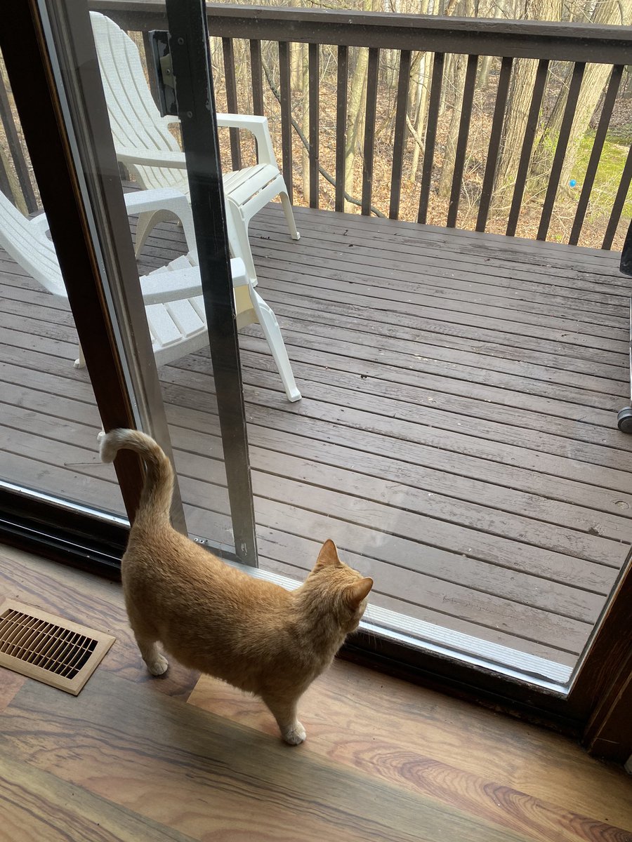 koulakarma's tweet image. Day 28 - I’m now having discussions with my co- worker why he can’t go on the deck for breaktime. 
#Itscoldout