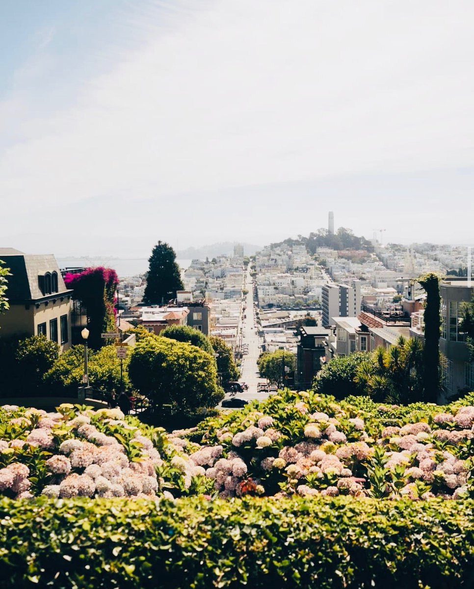 Hotel Zetta tweet media