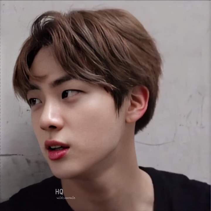 seokjin& #39;s side profile- a very much needed thread