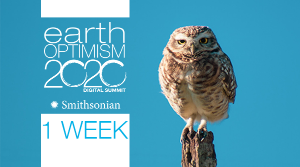 EarthOptimism's tweet photo. It would be wise to mark your calendar – it's ONE WEEK until the 50th Anniversary of #EarthDay and the launch of the digital #EarthOptimism Summit! We can't wait to show you what we have in store for the live event - streaming April 22-24. https://t.co/5Q2jsgfyTK