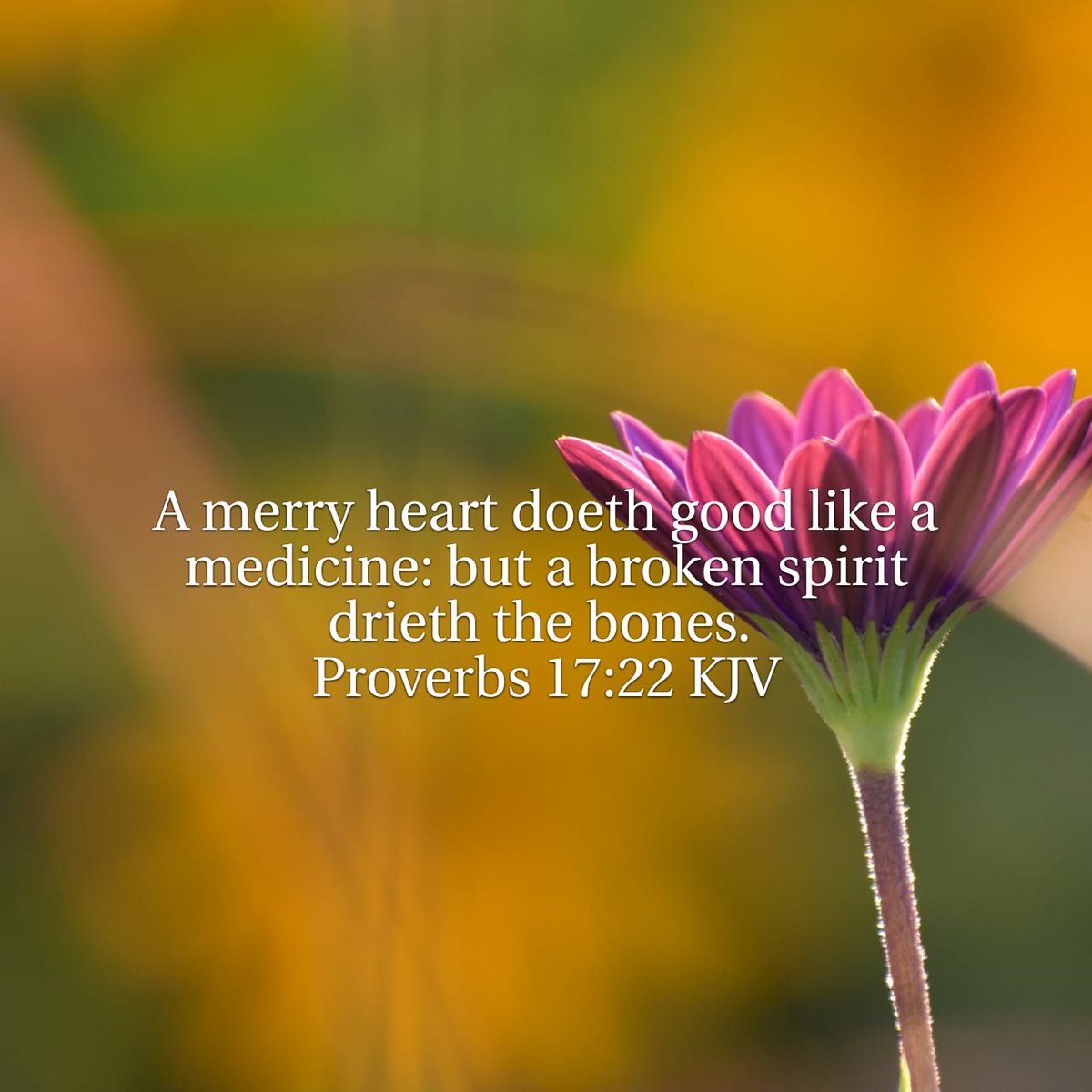 WordIntl's tweet image. Keep a merry heart and be like medicine to those around you!

A merry heart doeth good like a medicine: but a broken spirit drieth the bones.
Proverbs 17:22 KJV
bible.com/bible/1/pro.17…