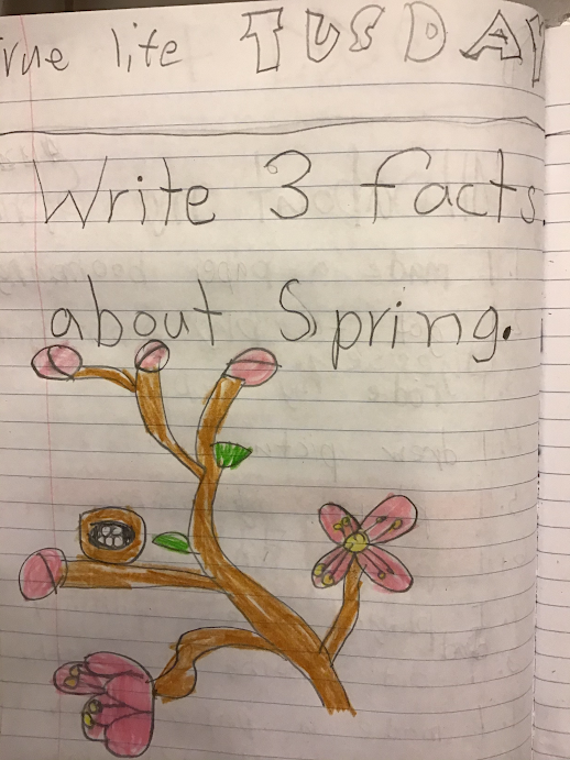 DSRRLC1's tweet photo. An amazing reminder spring is here! https://t.co/7mdT8GEd0o